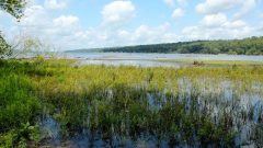 Six years later, Cayuga County awards Owasco Flats project bid