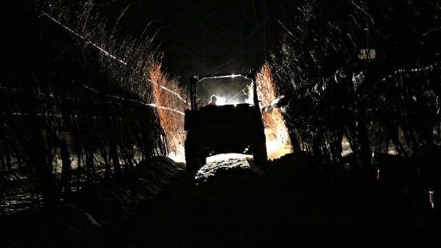 Ice Harvest at Buttonwood Grove (photo)