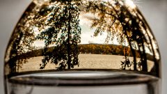 Seeing life through a different lens (photo)