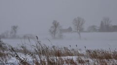 Whiteout over the weekend (photo)
