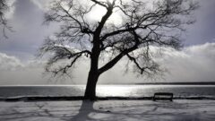 WINTER RETURNS: Brief ‘thaw’ will be ended by extreme cold, possible storm this weekend