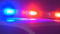 Deputies: Niagara Falls man damaged vehicle at del Lago, charged with felony criminal mischief