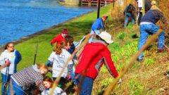 Volunteers during annual Lyons Erie Canal Cleansweep (photo)