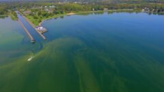 Skaneateles Lake gets help in fighting toxic algae — from a robot