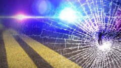 Driver airlifted, horse killed after accident on 96A in Romulus