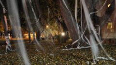 Teepee Halloween in Ontario County (photo)