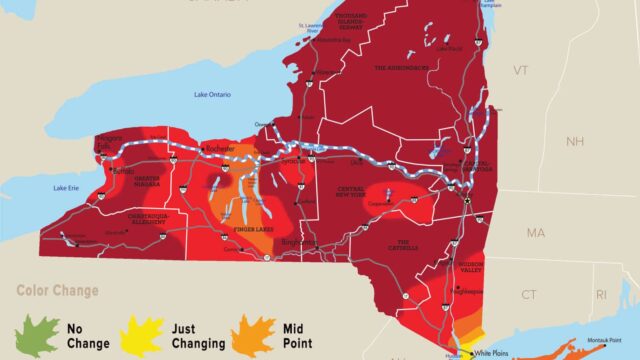 FOLIAGE REPORT: Finger Lakes primed this weekend for viewing