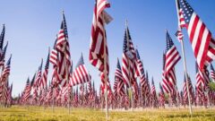 Ovid Fire Department hosts 9/11 Walk of Remembrance tonight