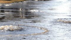 Water main breaks causing street flood on Canandaigua street (video)