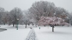 Winter Wonderland in Cayuga County (photo)